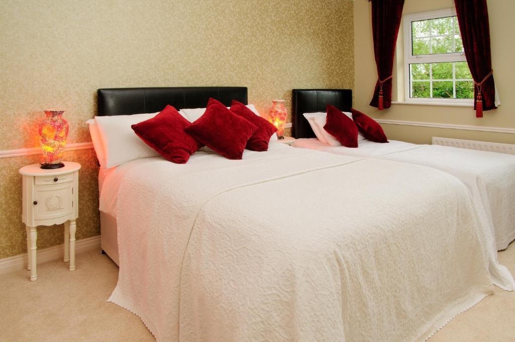 Sika Lodge Guesthouse Cill Airne Rum bild